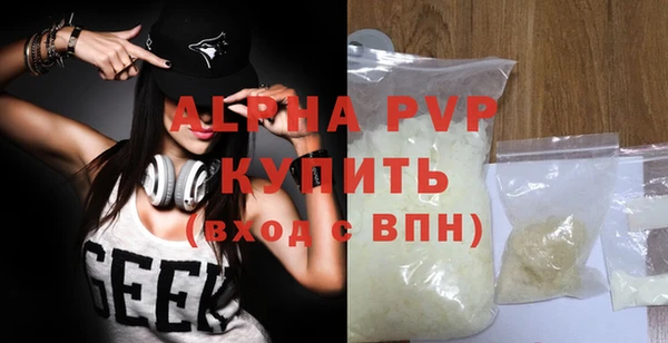 индика Белокуриха