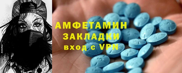 индика Белокуриха