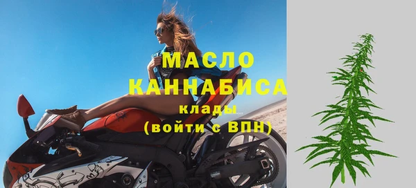 индика Белокуриха
