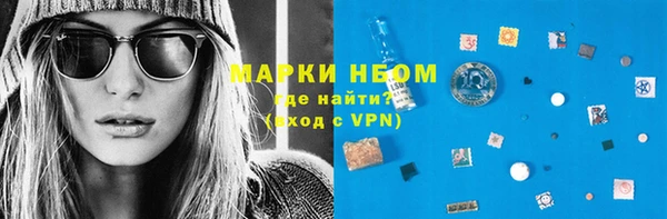 индика Белокуриха