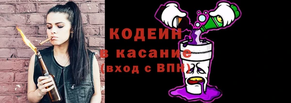 индика Белокуриха