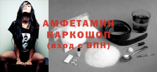 индика Белокуриха