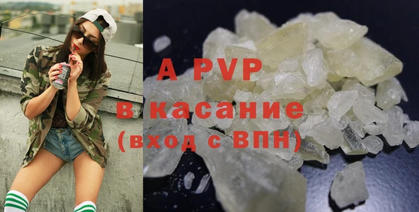 индика Белокуриха