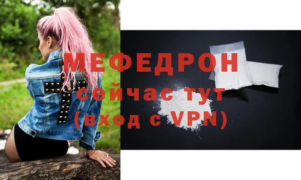 индика Белокуриха